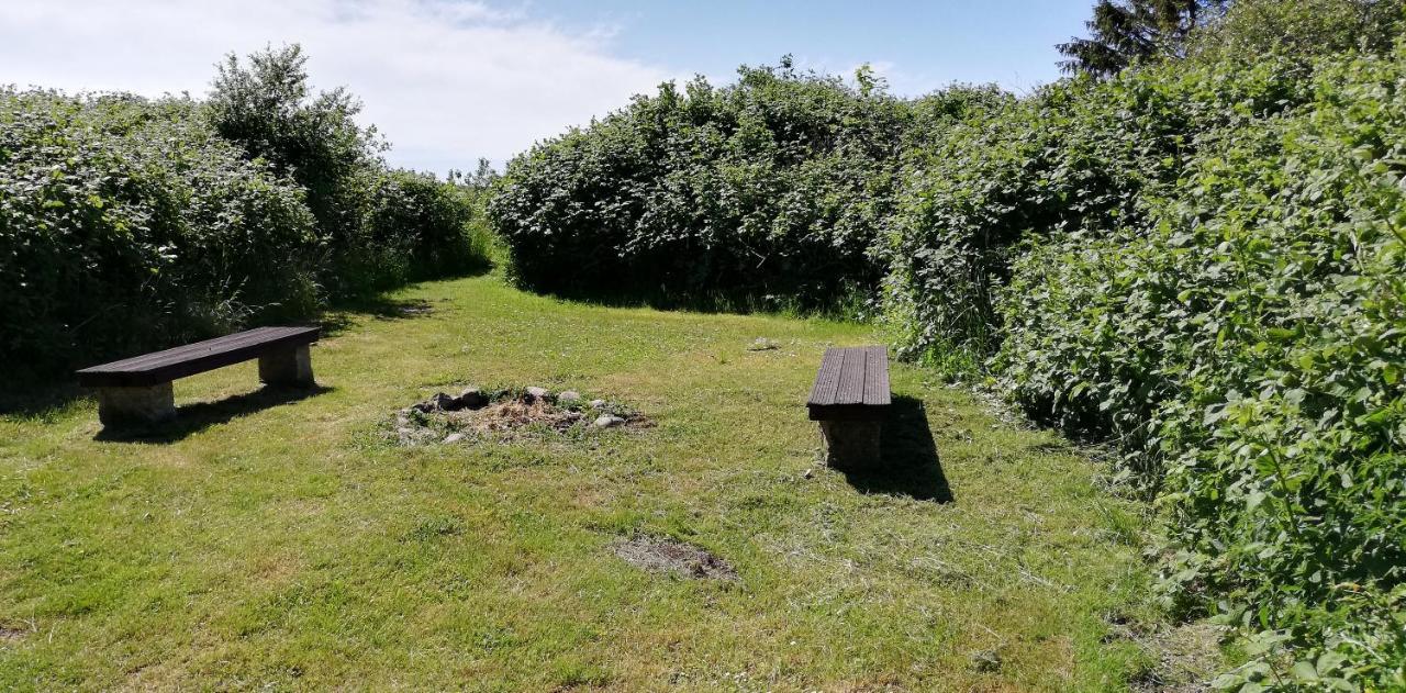 Drifthof Lejlighed Glowe Eksteriør billede