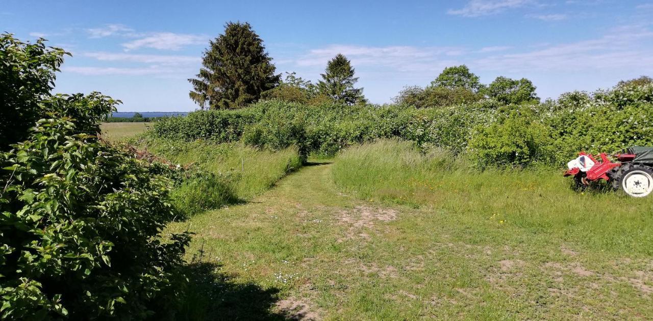 Drifthof Lejlighed Glowe Eksteriør billede
