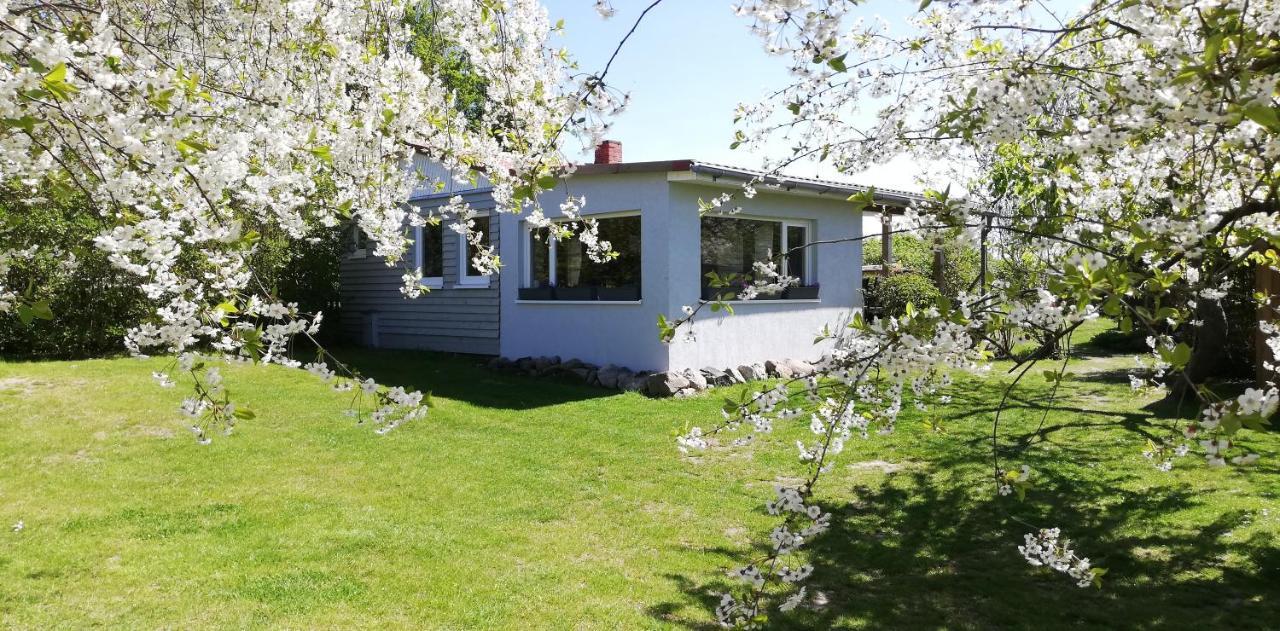 Drifthof Lejlighed Glowe Eksteriør billede